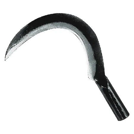 RONCOLA 'SCANSANO' LIF