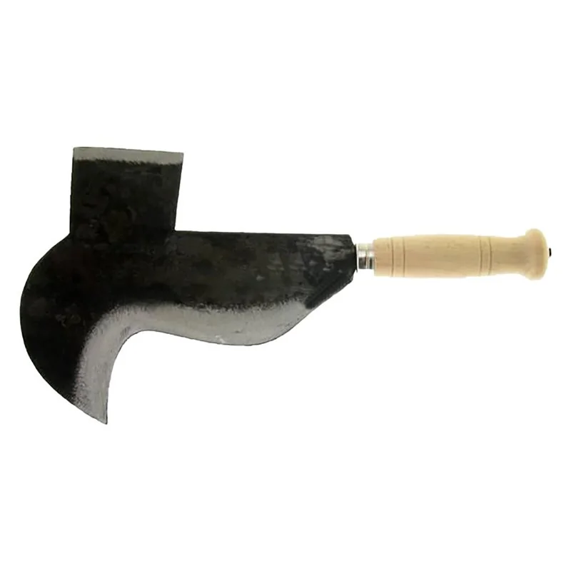 PENNATO 'FROSINONE' LIF