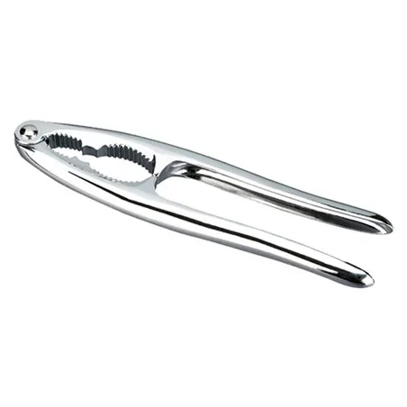 SCHIACCIANOCITESCOMA