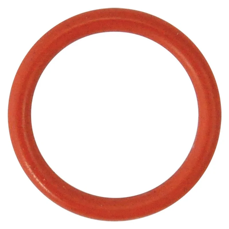 GUARNIZIONE O-RING PER PERNO