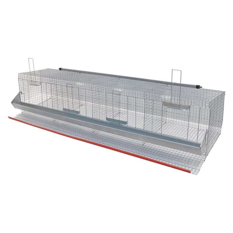 GABBIA GALLINE OVAIOLE QUATTRO CELLE