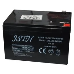 BATTERIA RICAMBIO AL PIOMBO PER IRRORATORE