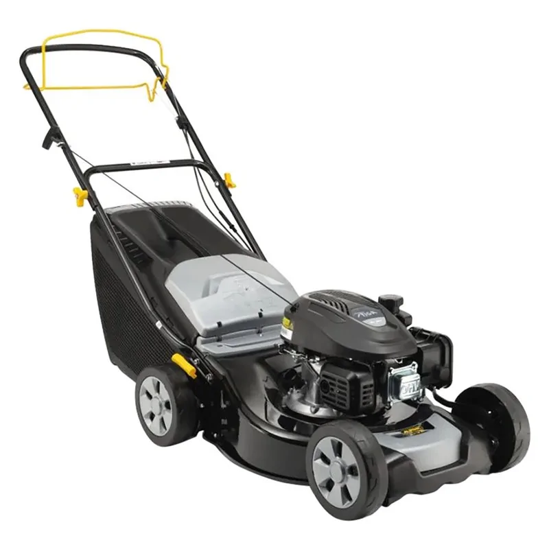 RASAERBA A SCOPPIO AL446 SA ALPINA