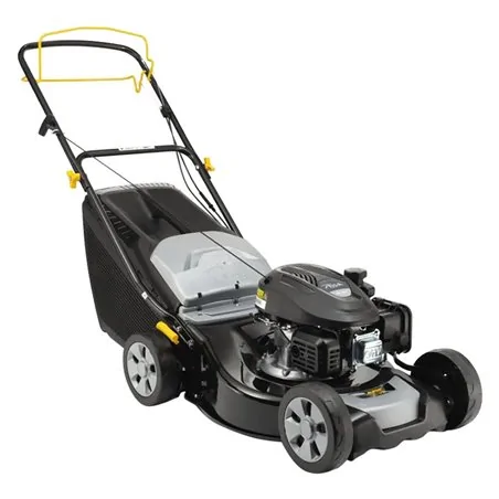 RASAERBA A SCOPPIO AL446 SA ALPINA