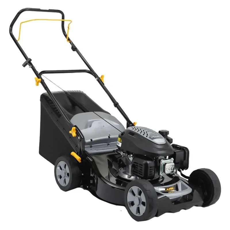 RASAERBA A SCOPPIO AL5 46SA ALPINA