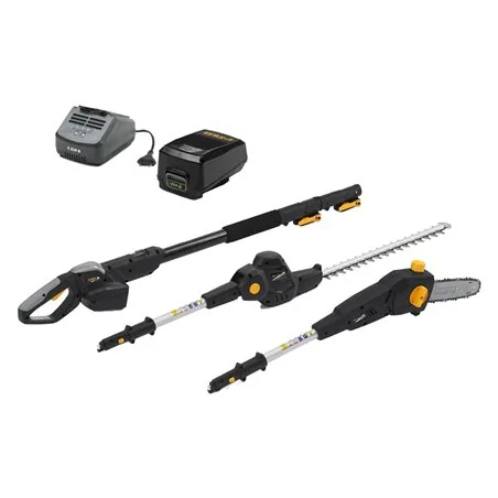 TAGLIASIEPI / POTATORE A BATTERIA AM 20LI KIT ALPINA