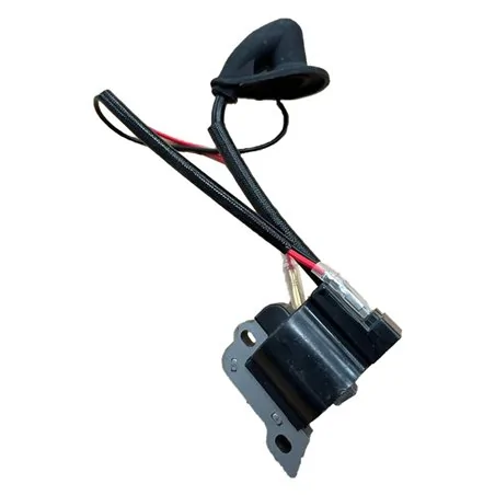 BOBINA ACCENSIONE LIF