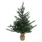 PINETTO VICTOR 