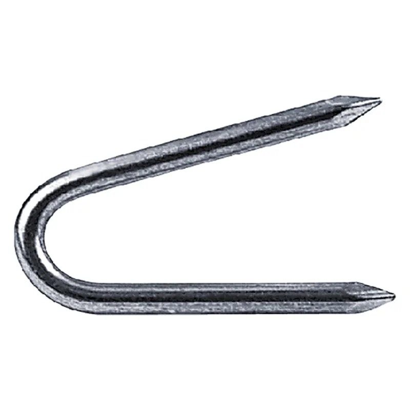 CHIODI CAMBRETTA IN BLISTER