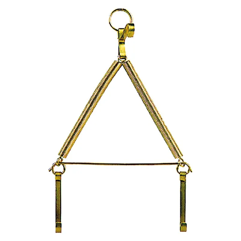 GANCIO A MOLLA APPENDIPIATTI