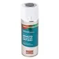 SMALTO SPRAY SPECIALE INFISSI