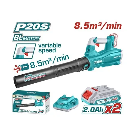 SOFFIATORE 20V CON 2 BATTERIE 2AH TOTAL