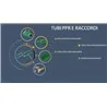 Tubi PPR e raccordi Coestherm