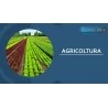 AGRICOLTURA