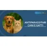 Antiparassitari Cani e Gatti