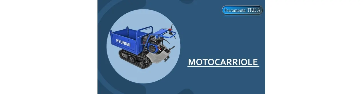 Motocarriole Agricole a Ruote e Cingolate | Ferramenta TRE A