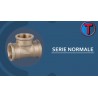 SERIE NORMALE