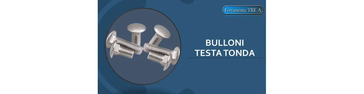 Bulloni testa tonda