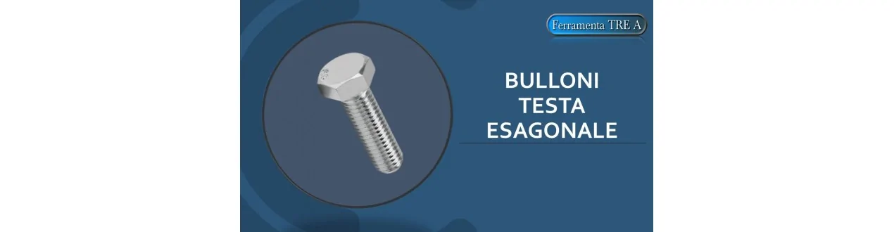 Bulloni testa esagonale