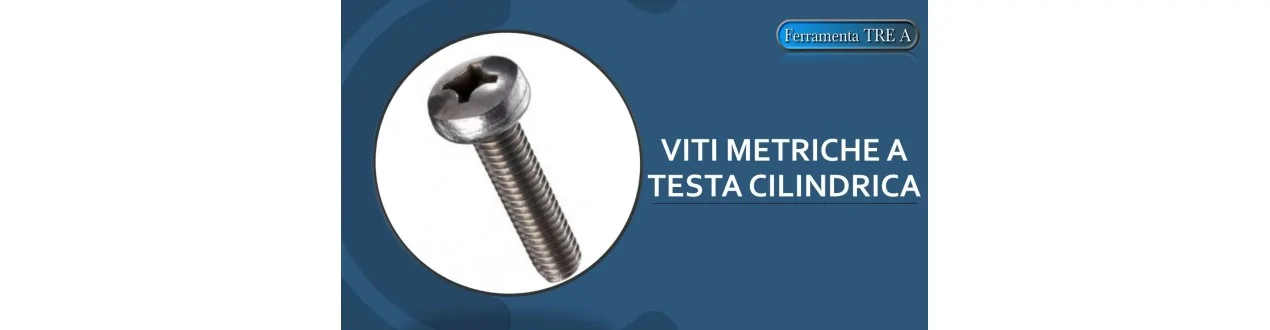 Viti metriche testa cilindrica