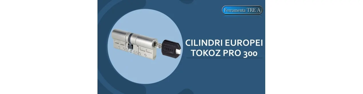 Cilindro europeo Tokoz PRO 300