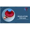 REGOLATORI PER GAS