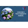CONCIMI E TRATTAMENTO PIANTE