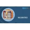 INCUBATRICI