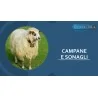 CAMPANE E SONAGLI