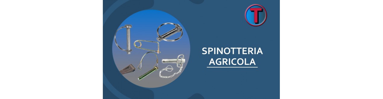 Spinotteria Agricola: Perni, Spinotti e Coppiglie | Ferramenta Tre A