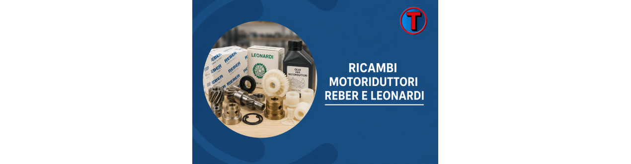 Ricambi Motoriduttori Reber e Leonardi | Ferramenta Tre A