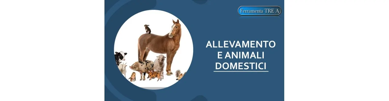 ALLEVAMENTO