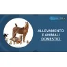ALLEVAMENTO E ANIMALI DOMESTICI
