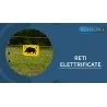 RETI ELETTRIFICATE